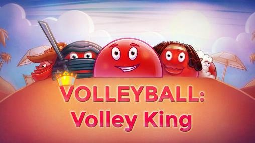 game pic for Volleyball: Volley king